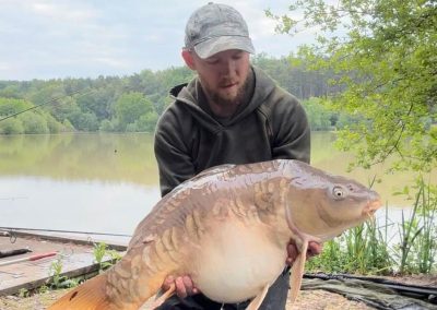 Whitevane Carp Gallery